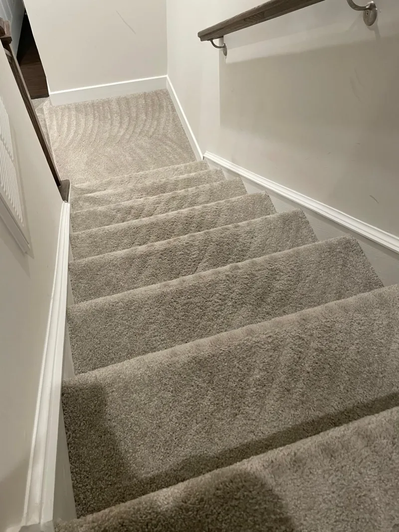 Freshly vacuumed carpeted staircase