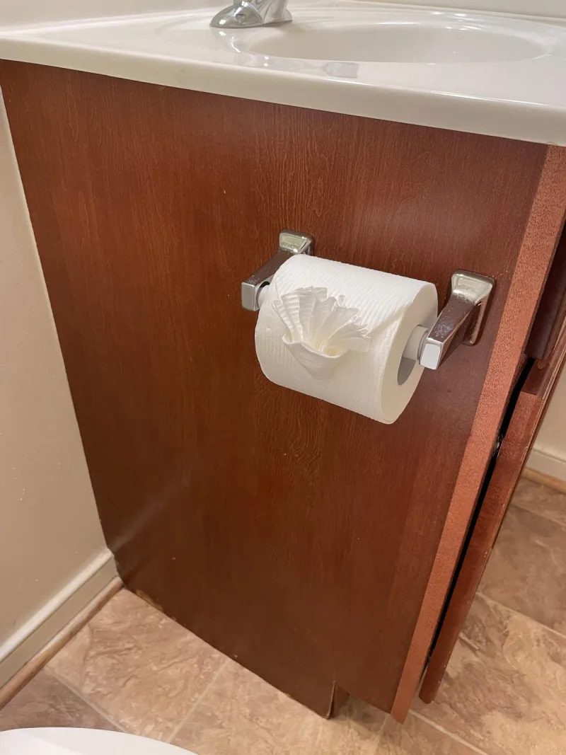 Toilet paper folded into a fan as a finishing touch